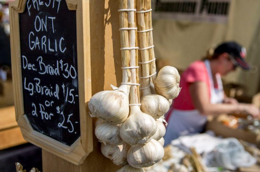 This is Why Garlic Festivals Are So Special MENU