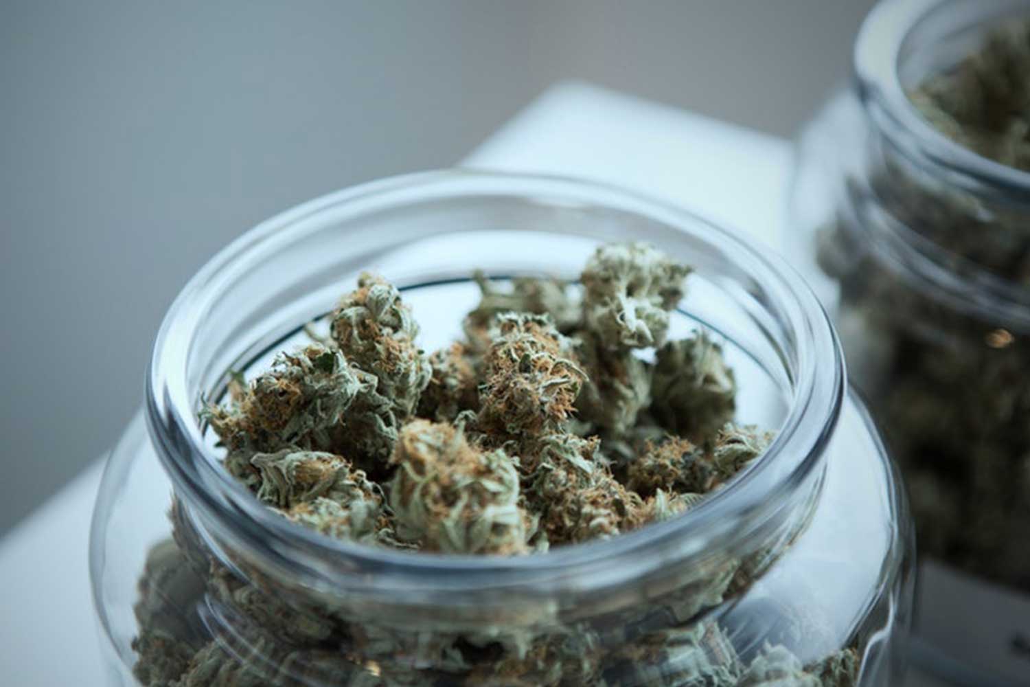 2019 food trends From cannabis edibles to plantbased