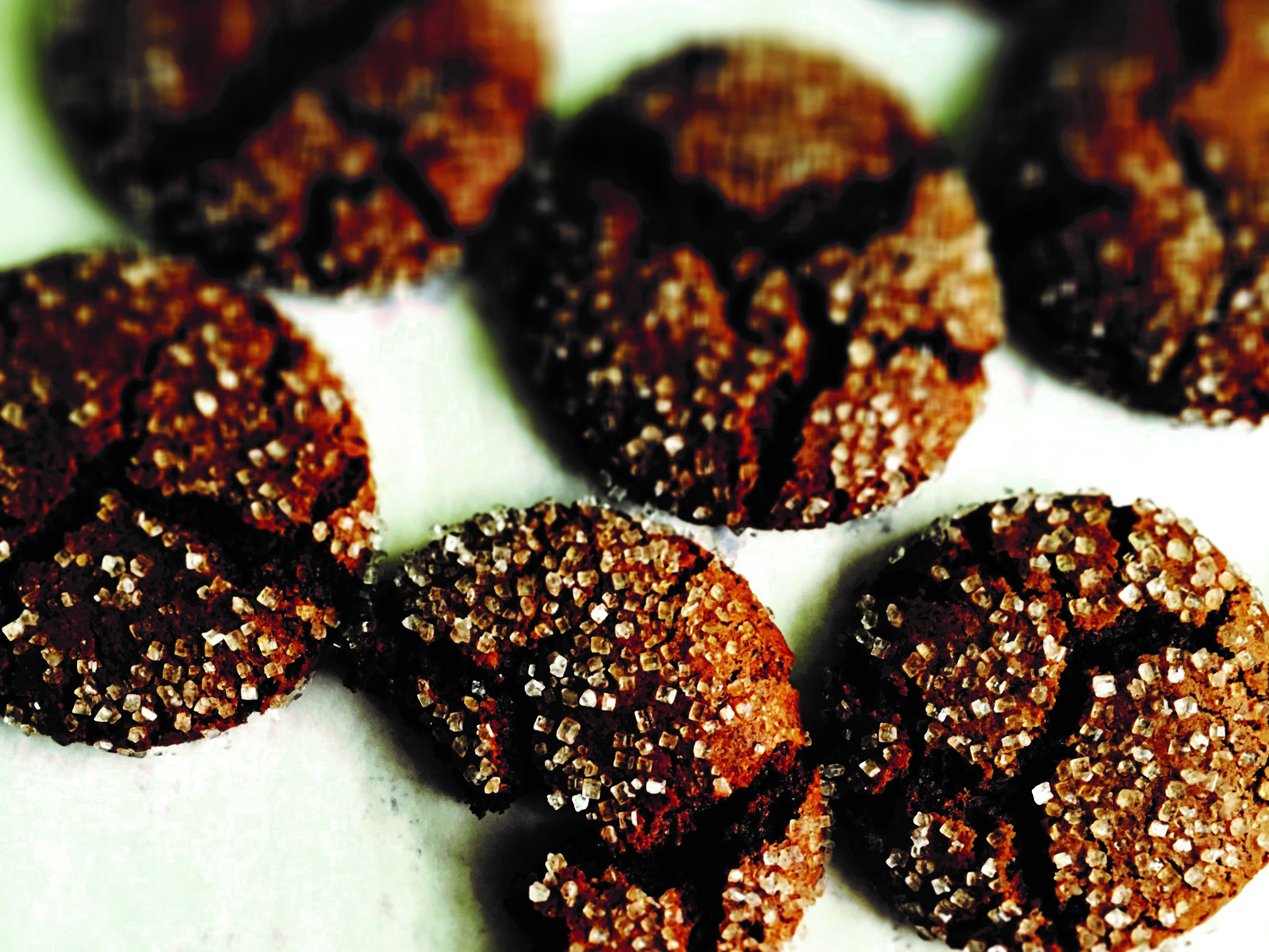 Buckwheat and Olive Oil Molasses Cookies Recipe from 'All the Sweet